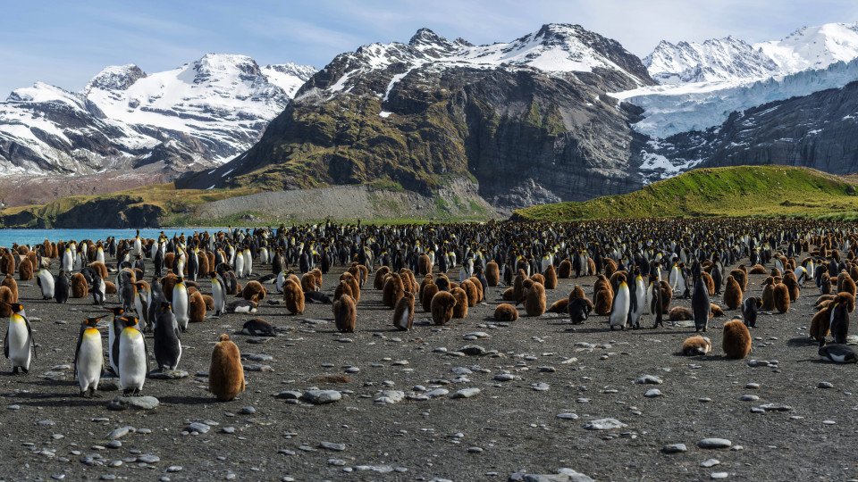 South Georgia Island