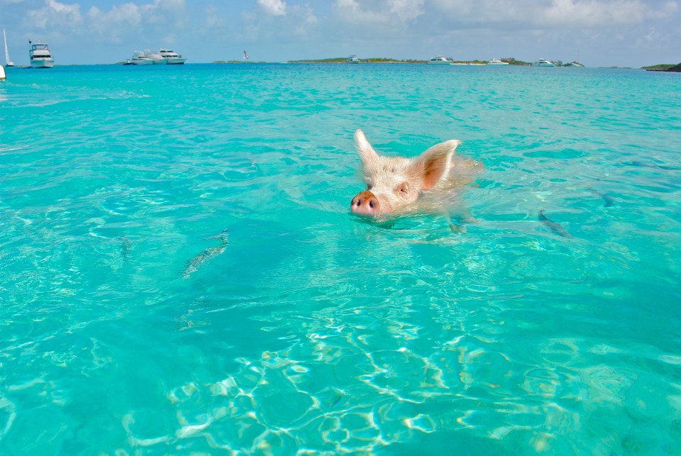 Great Stirrup Cay